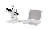 KÍNH HIỂN VI CARTON -ZOOM STEREO MICROSCOPES